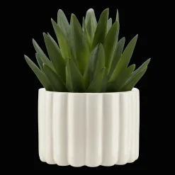 Clearance Bouclair Agave in Pot