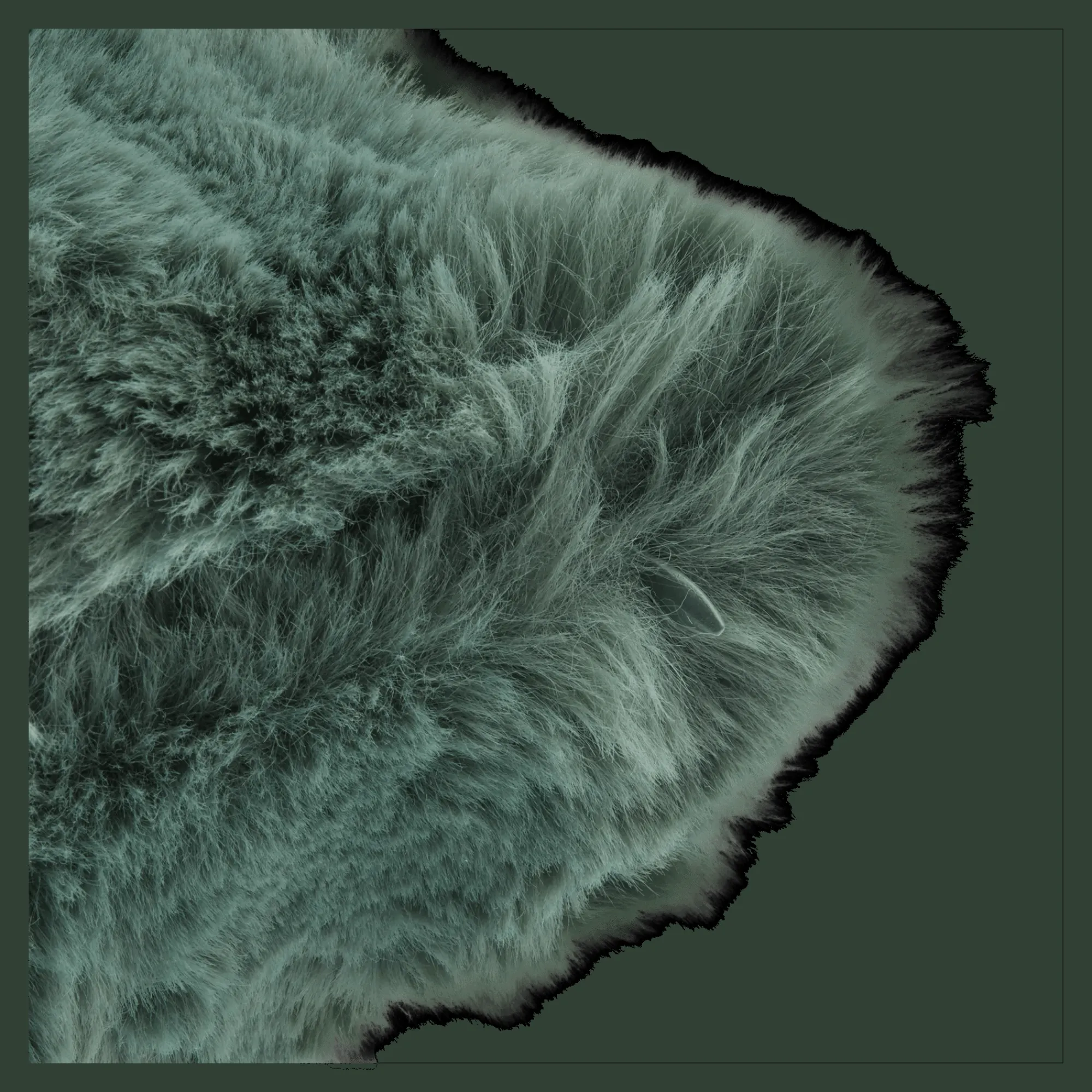 New Bouclair Amelia Fur Cushion