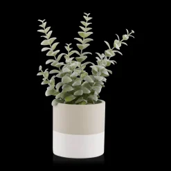Sale Bouclair Apple Succulent in Two-Toned Ceramic Pot