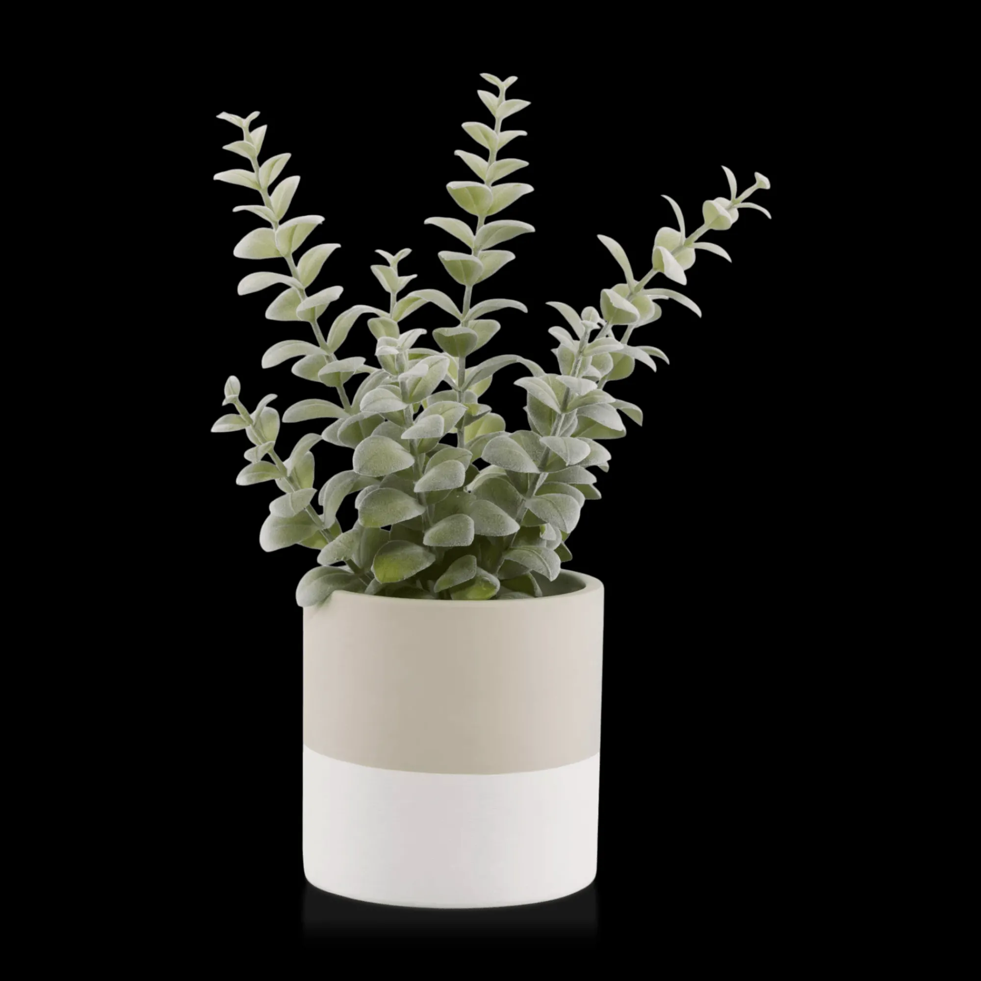 Sale Bouclair Apple Succulent in Two-Toned Ceramic Pot