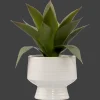 Best Bouclair Artificial Aloe in Ceramic Pot