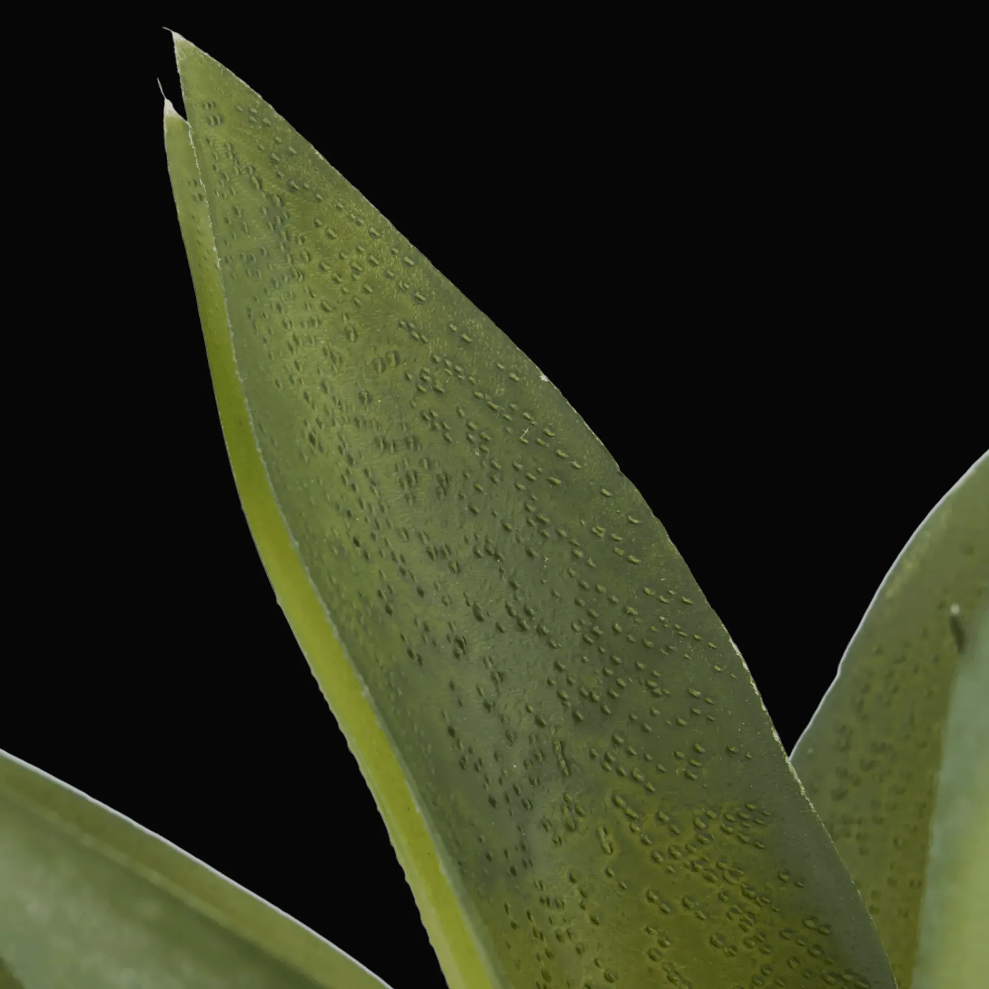 New Bouclair Artificial Cast-Iron Plant in White Speckled Pot