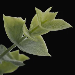 Best Bouclair Artificial Eucalyptus in Ceramic Pot