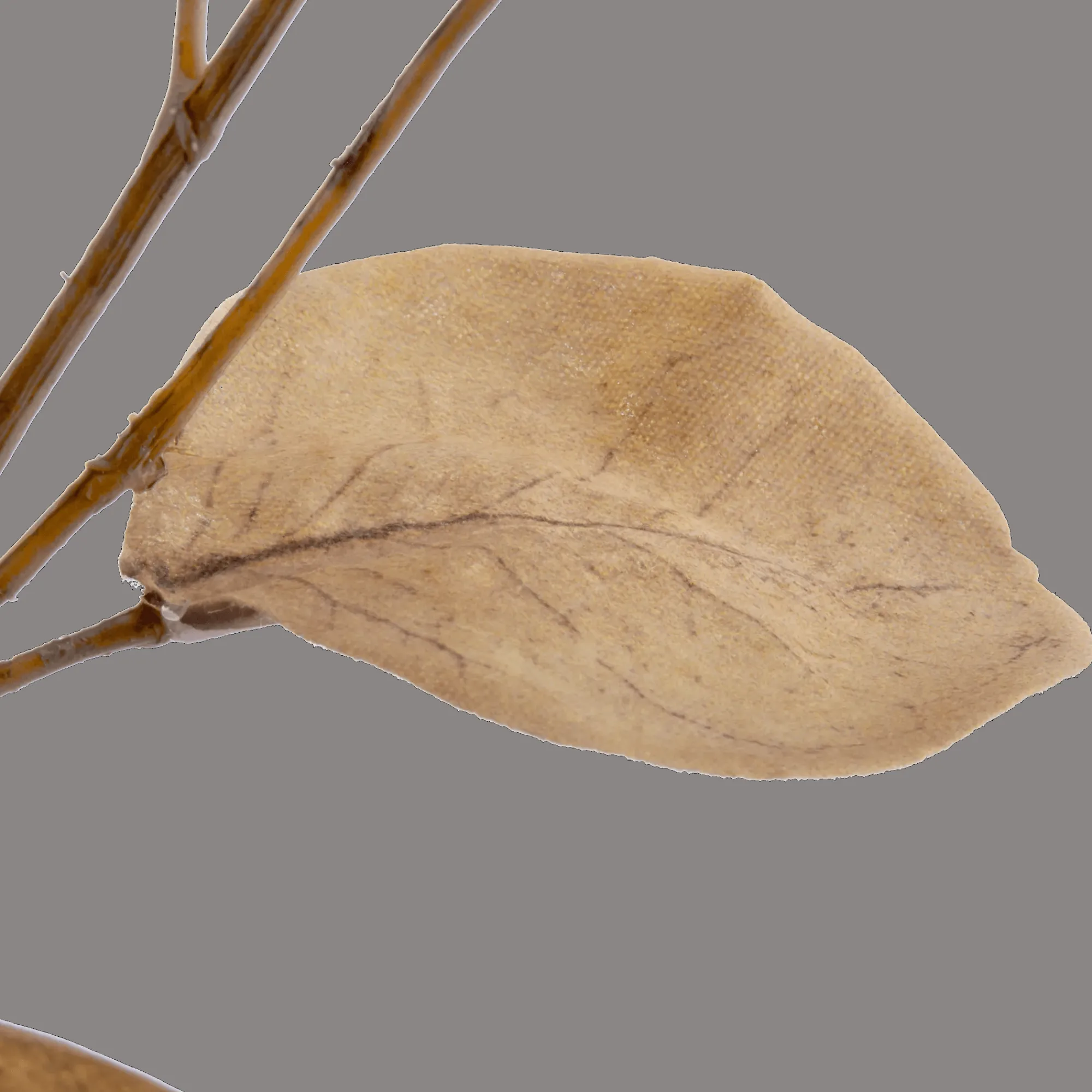 Best Bouclair Artificial Eucalyptus Stem