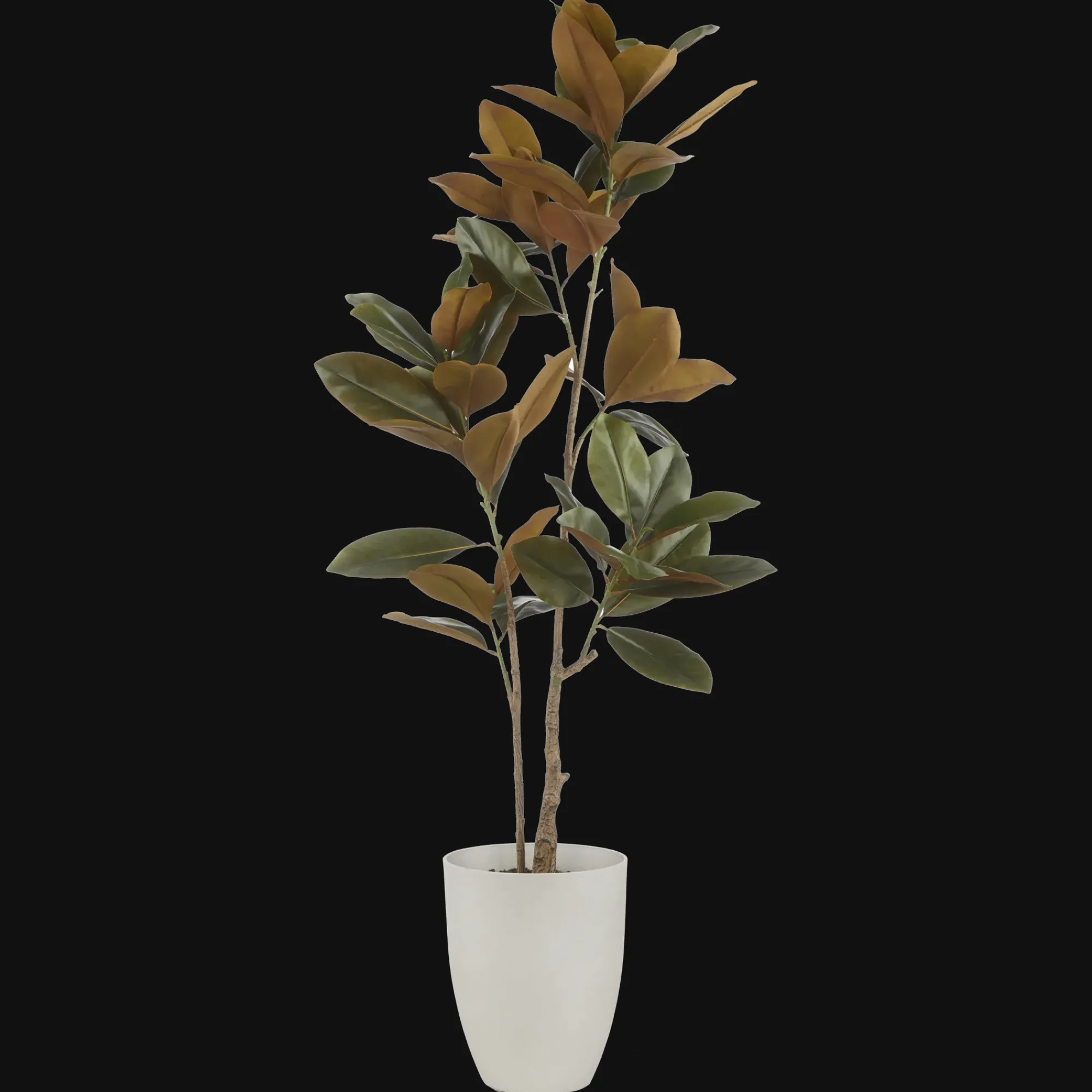 Hot Bouclair Artificial Ficus Tree