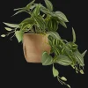 Discount Bouclair Artificial Fittonia in Wood Pot