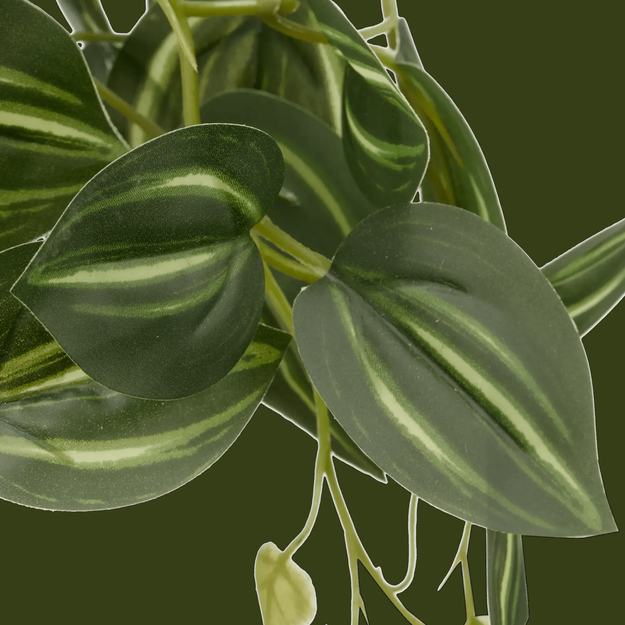 Discount Bouclair Artificial Fittonia in Wood Pot