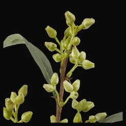 Hot Bouclair Artificial Flower