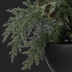 Best Bouclair Artificial Juniper in Pot