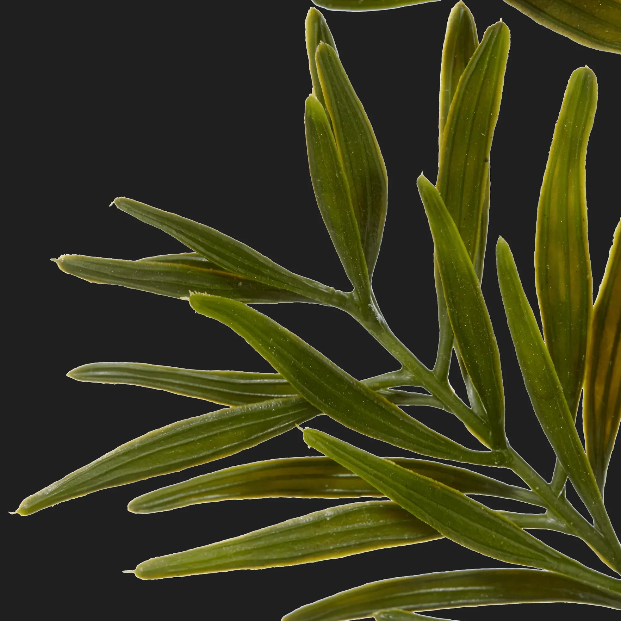 Bouclair Artificial Leaves