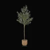 Bouclair Artificial Olive Tree in Basket