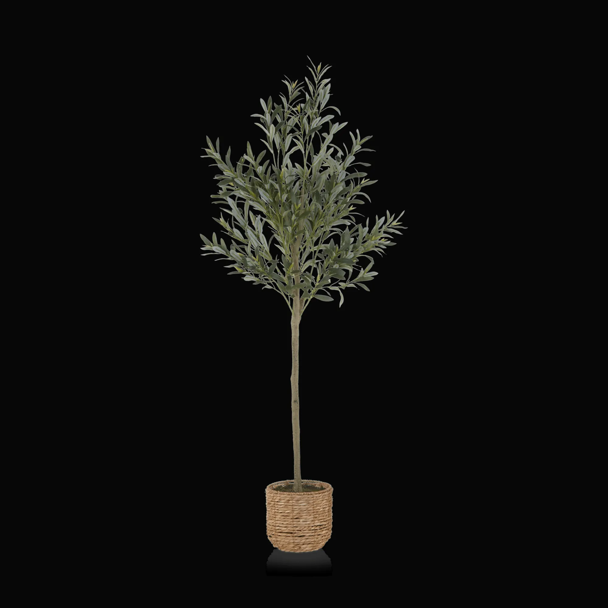 Bouclair Artificial Olive Tree in Basket