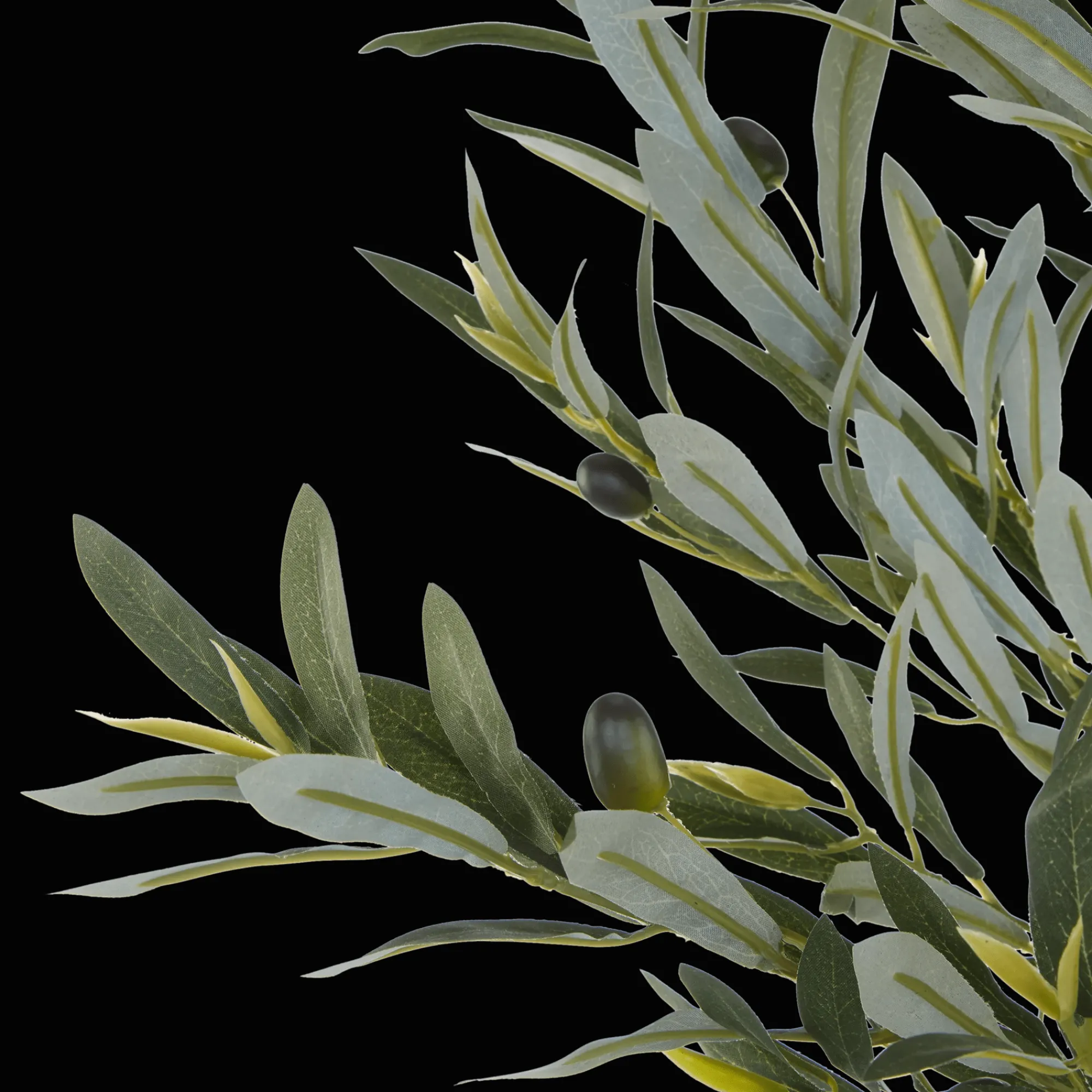 Bouclair Artificial Olive Tree in Basket