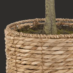 Bouclair Artificial Olive Tree in Basket