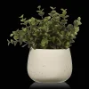 New Bouclair Artificial Plant in Beige Speckled Pot