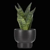 Hot Bouclair Artificial Plant in Black Matte Ceramic Pot