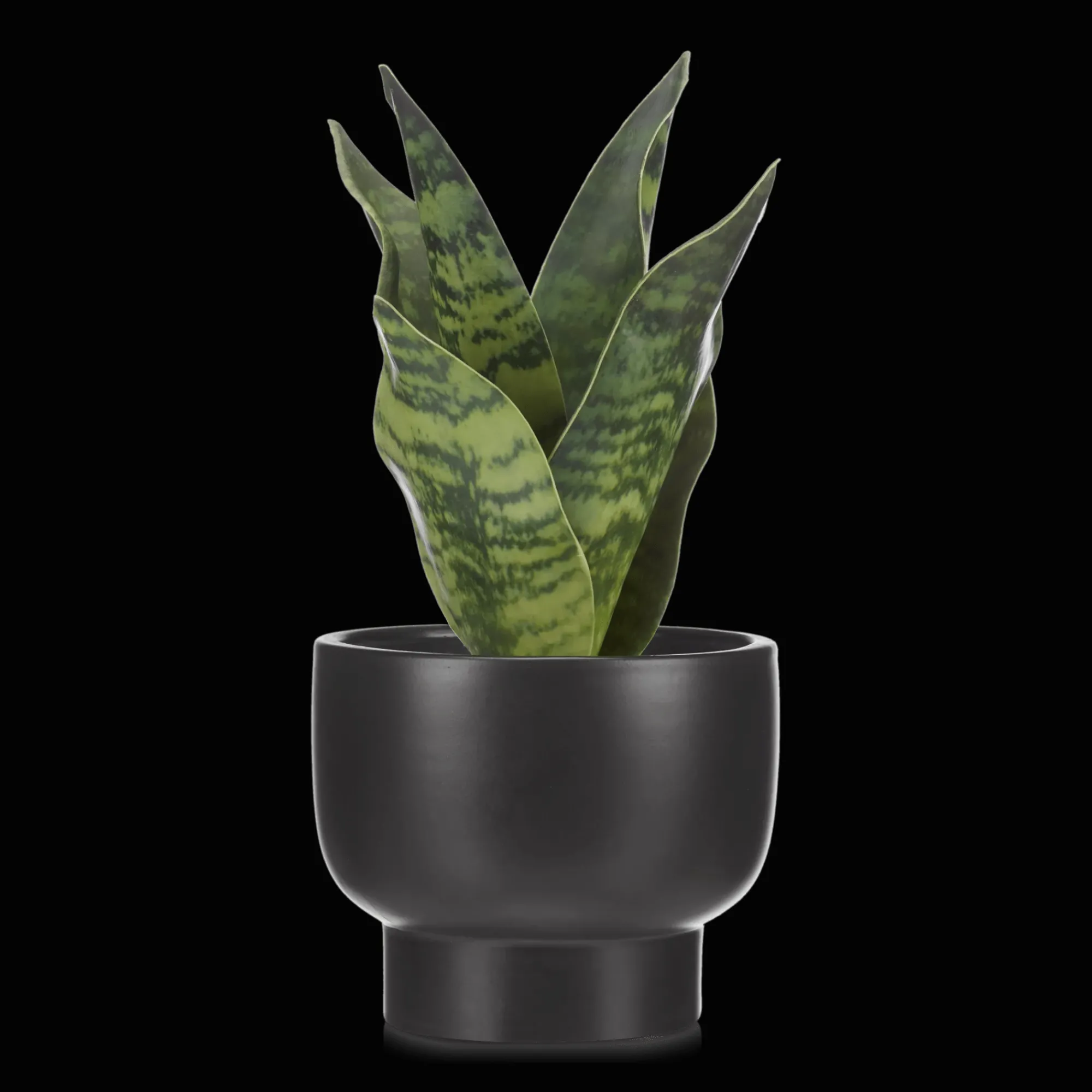 Hot Bouclair Artificial Plant in Black Matte Ceramic Pot