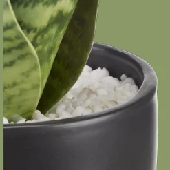 Hot Bouclair Artificial Plant in Black Matte Ceramic Pot