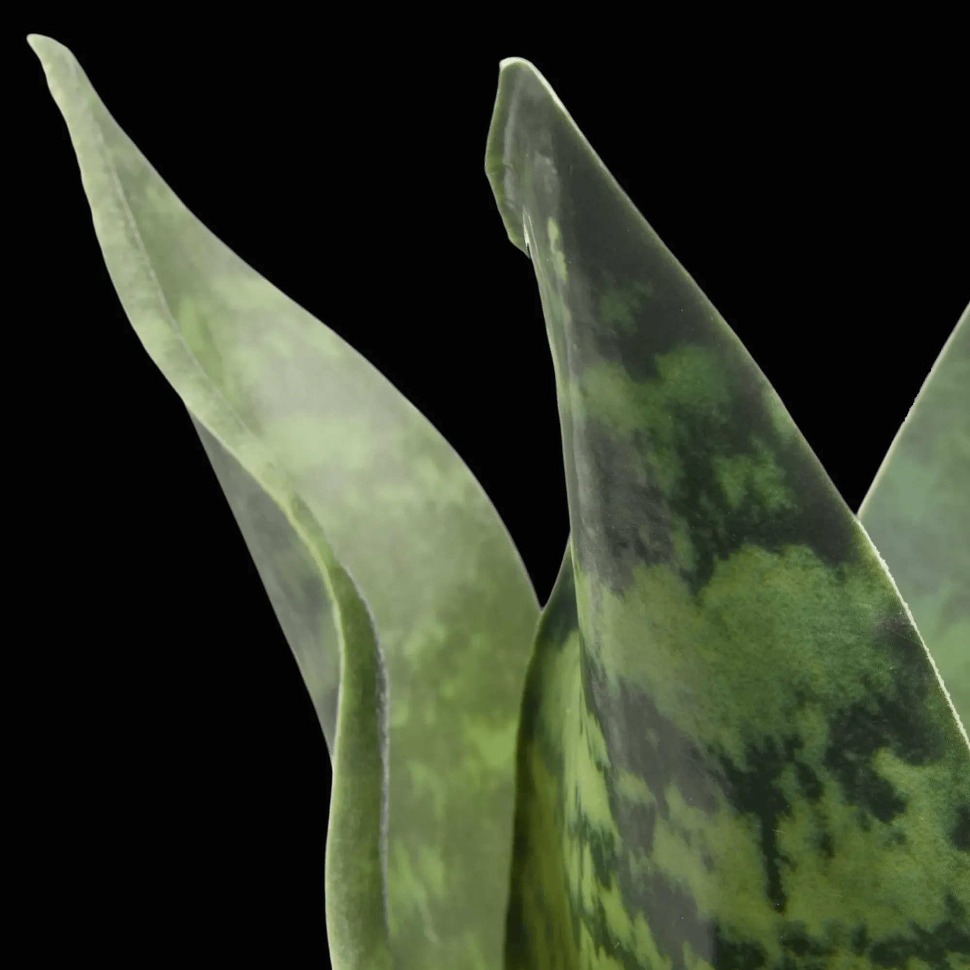 Hot Bouclair Artificial Plant in Black Matte Ceramic Pot