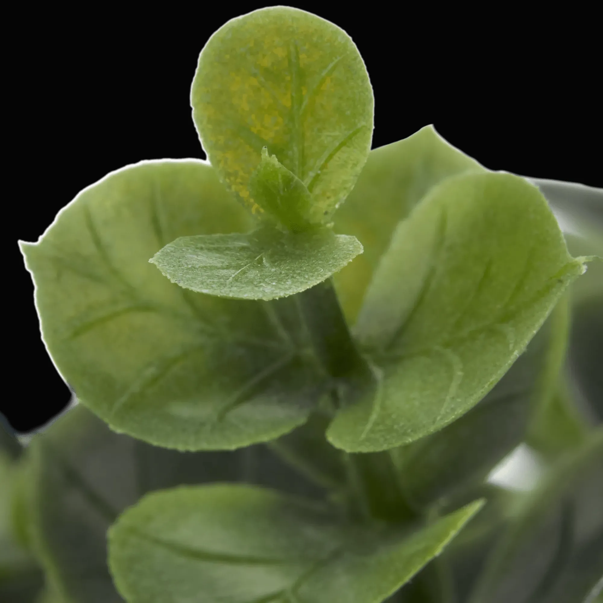 Bouclair Artificial Plant in Ceramic Pot