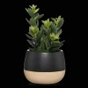 Hot Bouclair Artificial Plant in Colour-Block Pot