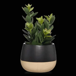 Hot Bouclair Artificial Plant in Colour-Block Pot