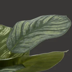 Online Bouclair Artificial Plant in Striped Ceramic Pot