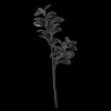 Outlet Bouclair Black Leaves