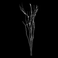 Outlet Bouclair Branches