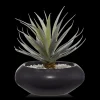 New Bouclair Ceramic Potted Greenery