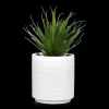 Bouclair Ceramic Potted Tropical Plant