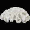 Best Bouclair Decorative Coral