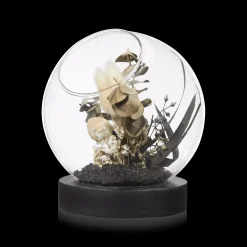 Discount Bouclair Decorative Stems in Glass Dome