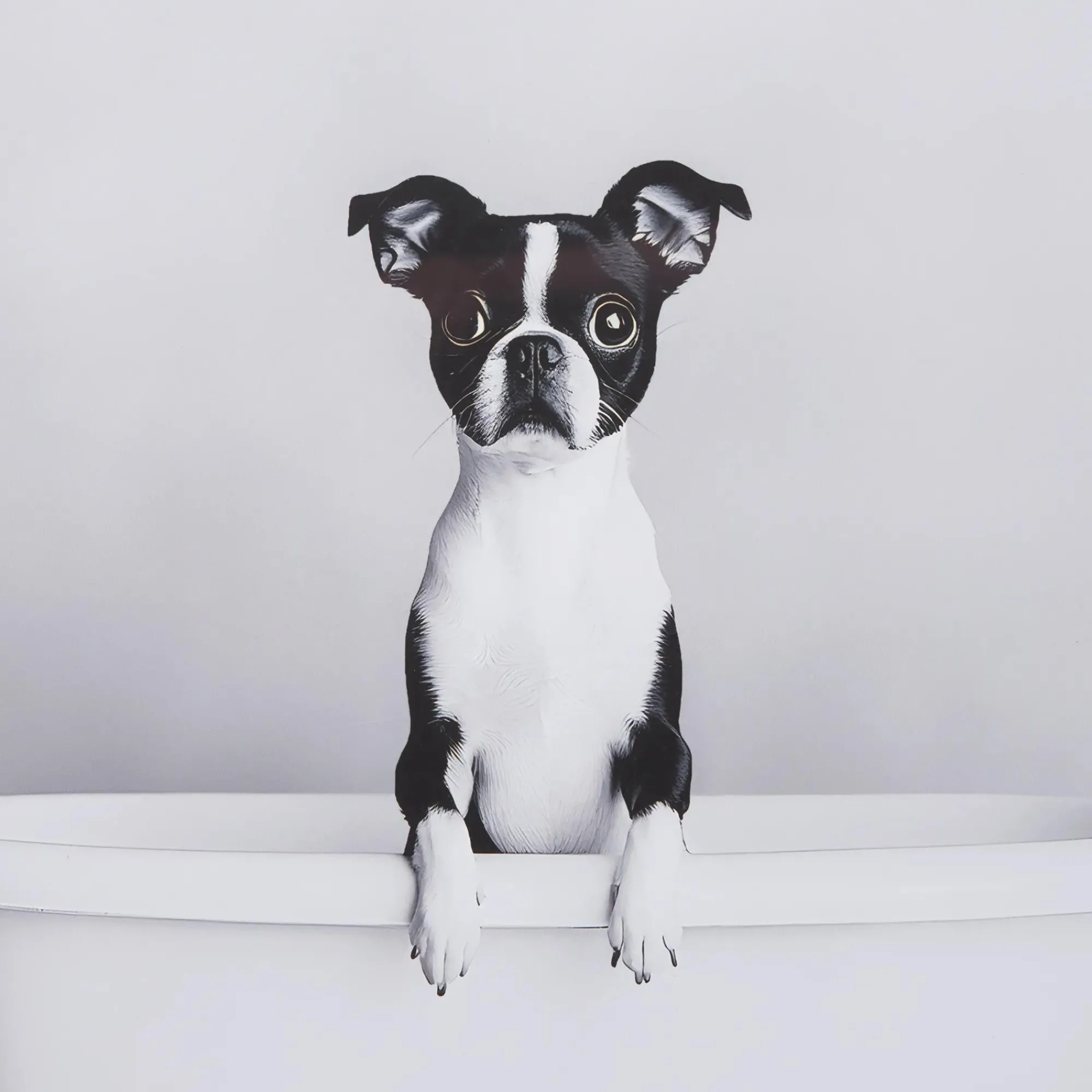 Bouclair Dog in Bathtub Framed Canvas