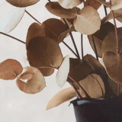 Discount Bouclair Eucalyptus Bouquet Framed Art