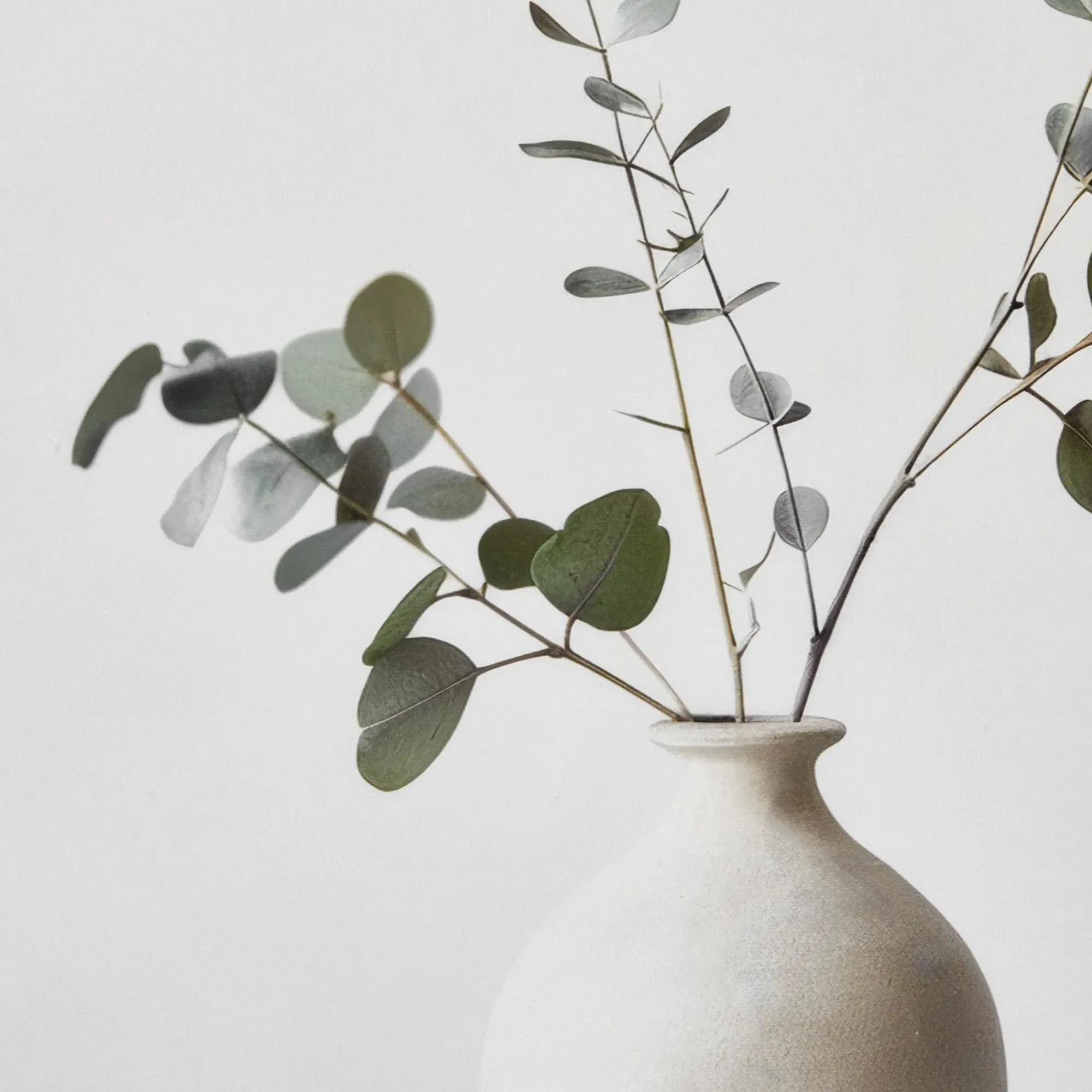 New Bouclair Eucalyptus in a Vase Framed Art