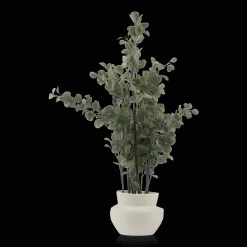 Hot Bouclair Eucalyptus Tree