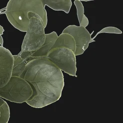 Hot Bouclair Eucalyptus Tree