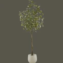 New Bouclair Eucalyptus Tree