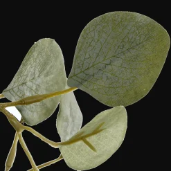 New Bouclair Eucalyptus Tree