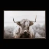 New Bouclair Furry Highland Cow Framed Art