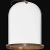 New Bouclair Glass Dome with Wood Base