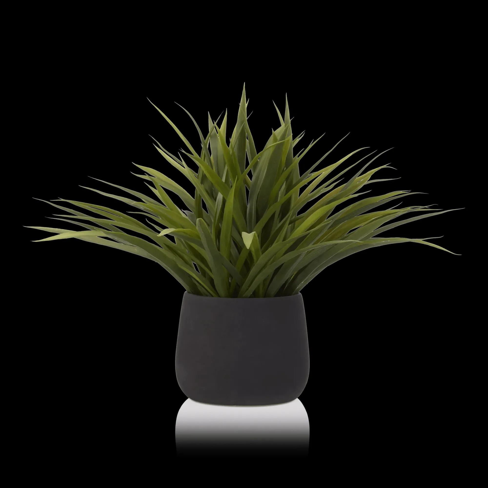 Hot Bouclair Grass in Ceramic Pot