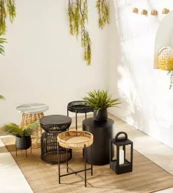 Hot Bouclair Grass in Ceramic Pot