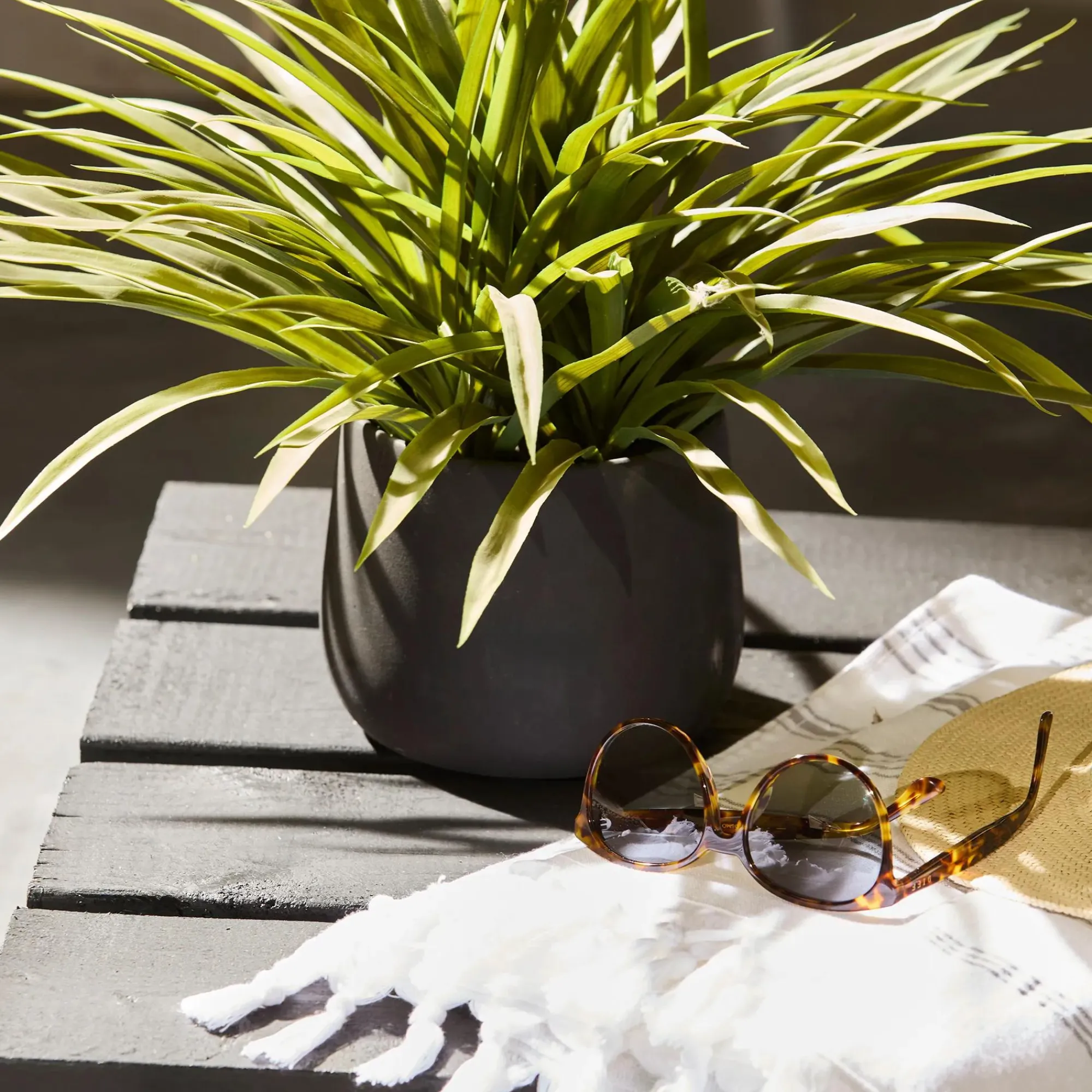 Hot Bouclair Grass in Ceramic Pot