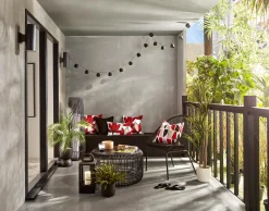 Hot Bouclair Grass in Ceramic Pot