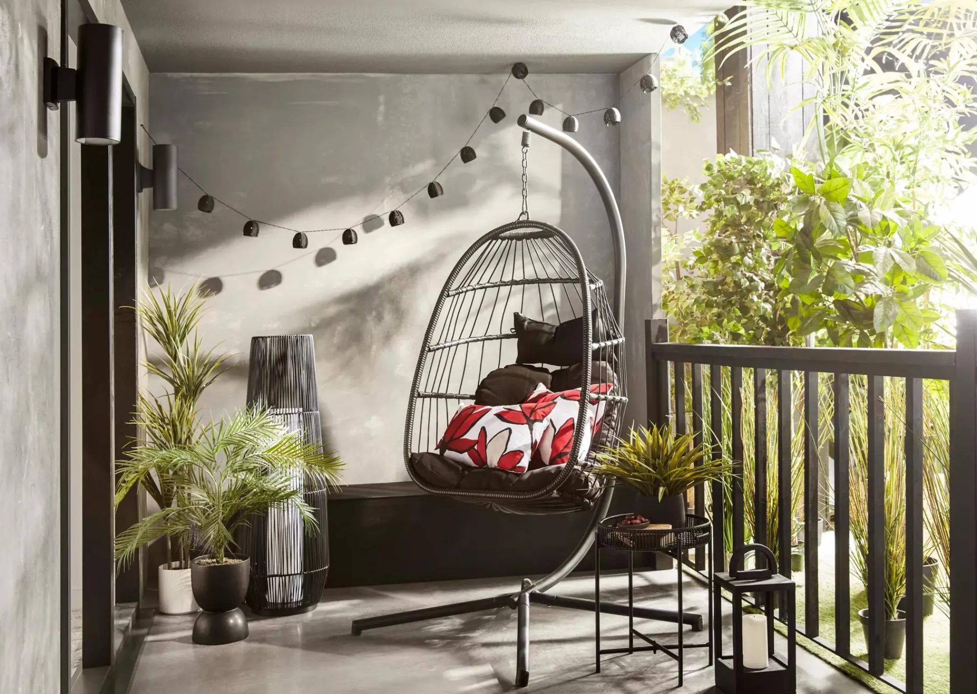 Hot Bouclair Grass in Ceramic Pot