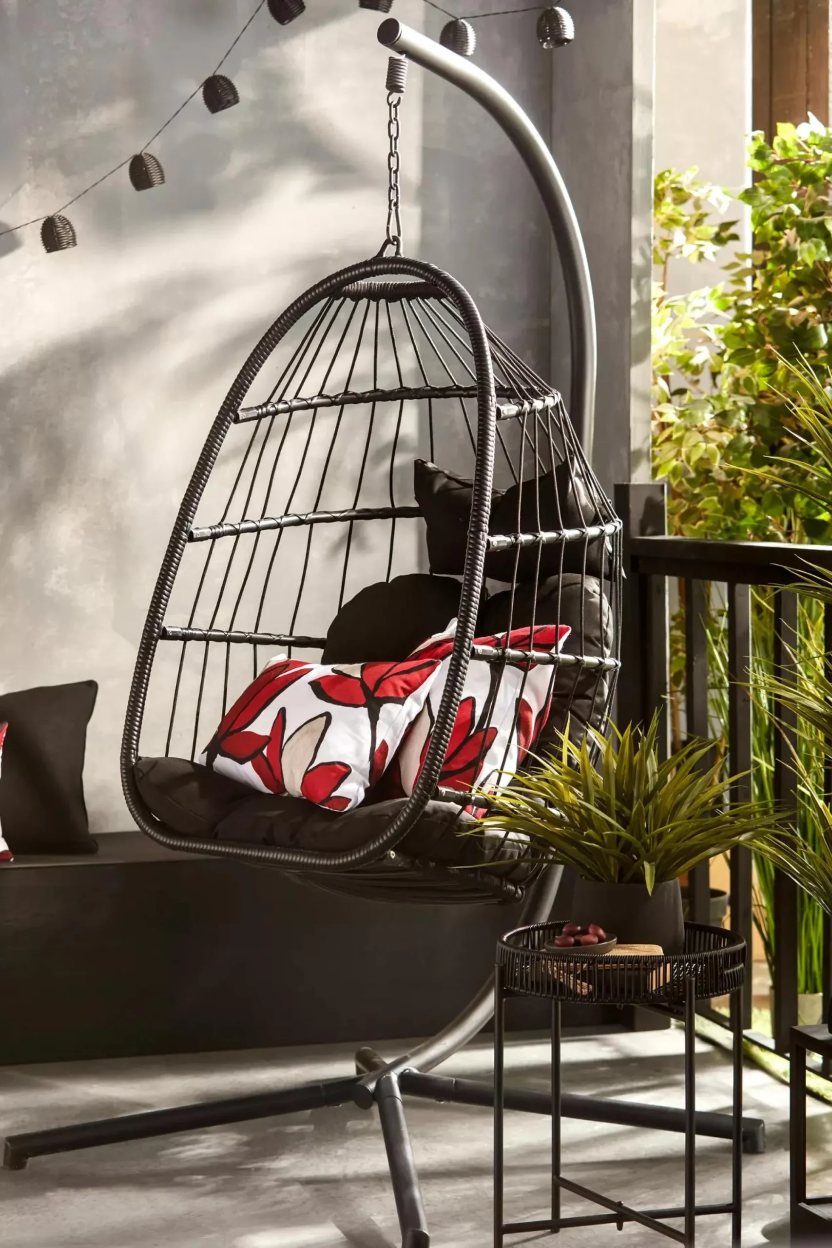 Hot Bouclair Grass in Ceramic Pot