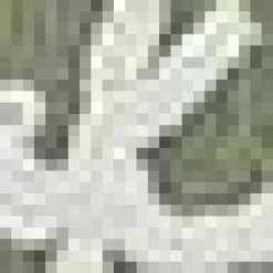 Bouclair Green Get Naked Bath Mat