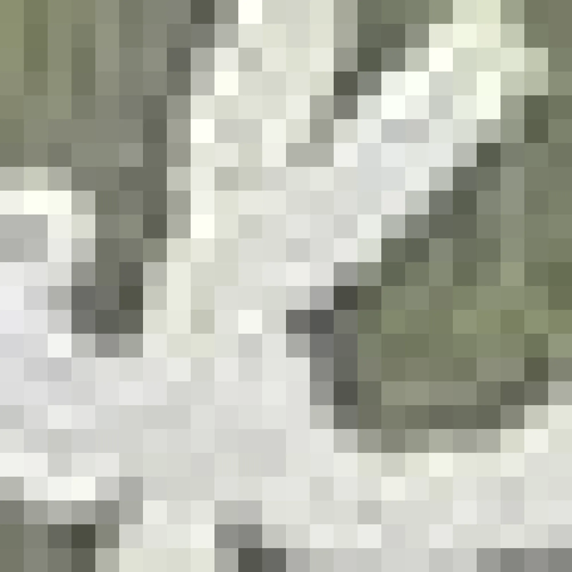 Bouclair Green Get Naked Bath Mat